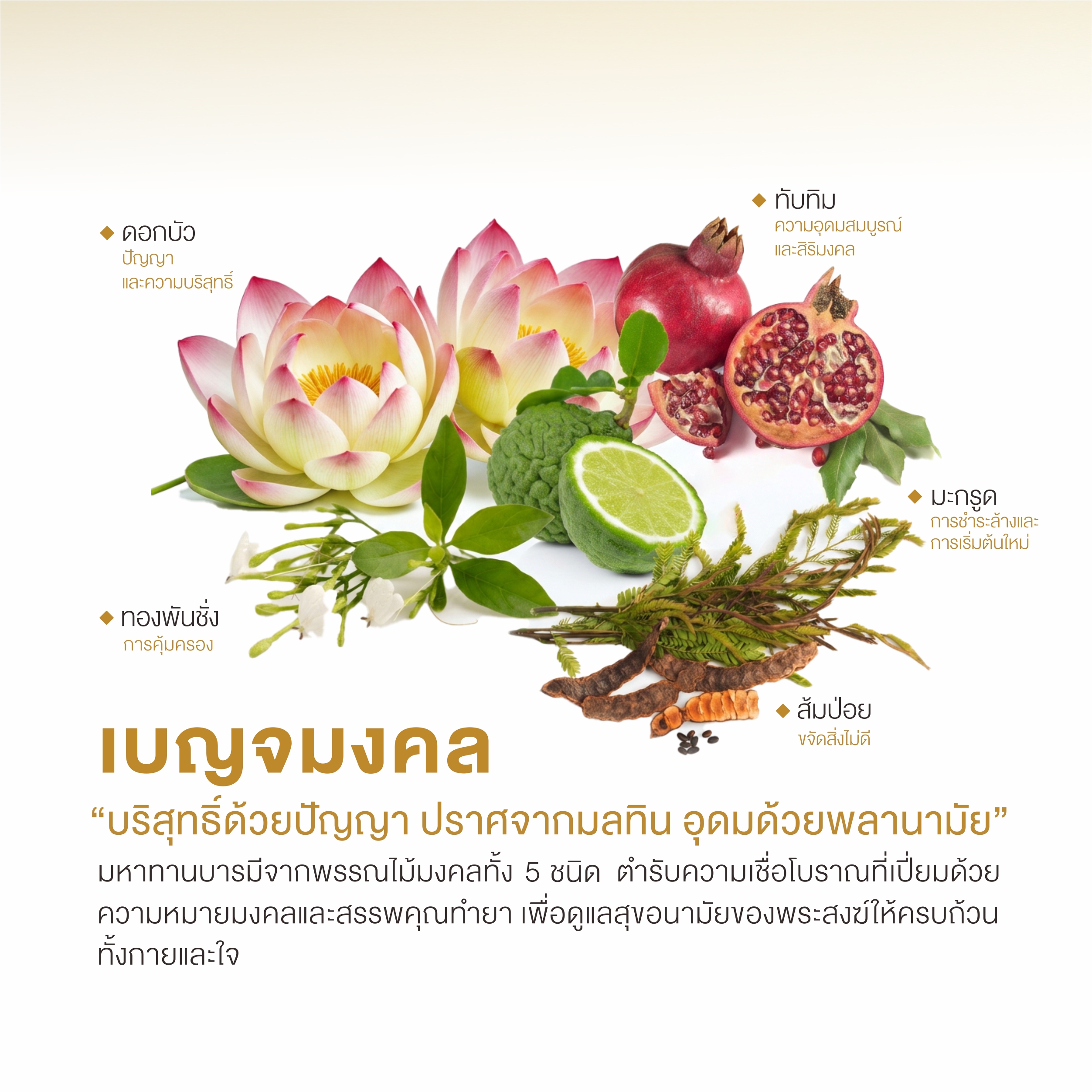 โฟมล้างมือสำหรับพระสงฆ์ - Image 5