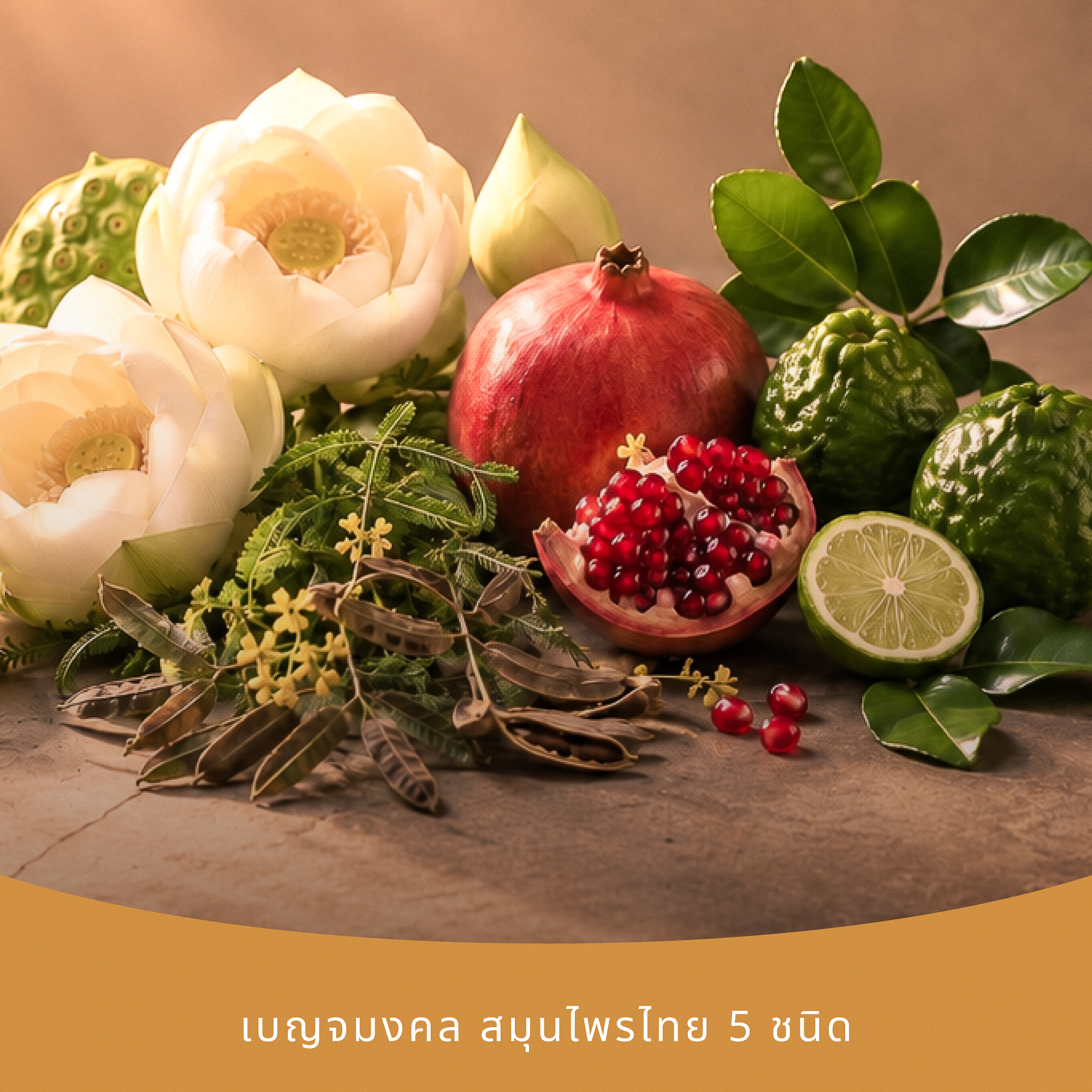สังฆทานปุณณ ชุด ๙ บุญมงคล - Image 2
